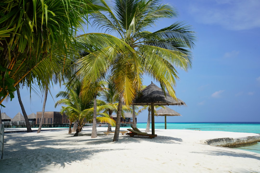 Discover Your Perfect Vacation Package at EscapeVibeShop
