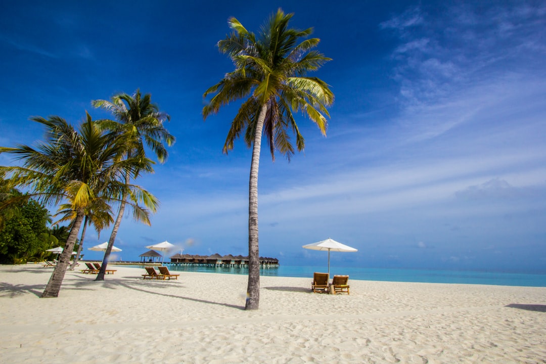 Escape to Paradise: Exclusive Vacation Packages Just for You